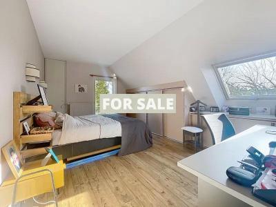 Modern Detached House with Garden