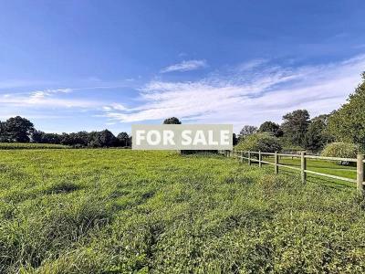 Detached Country House with Open Views