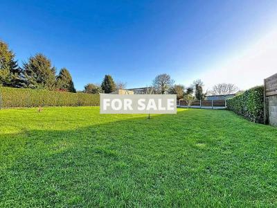 Detached Rural House with Open Views