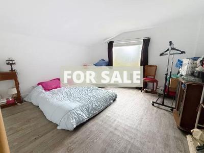 Cottage in Coastal Location, Lovely Home