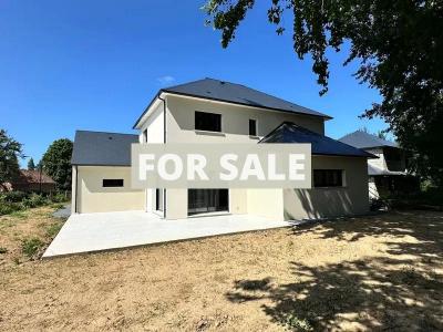 Property For Sale