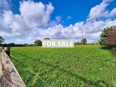 Detached Country House by the Coast