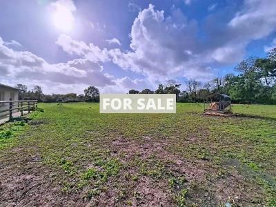 Detached Country House by the Coast