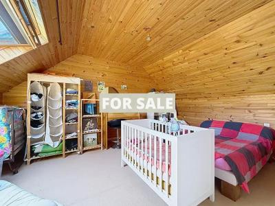 Detached Country House with Swimming Pool