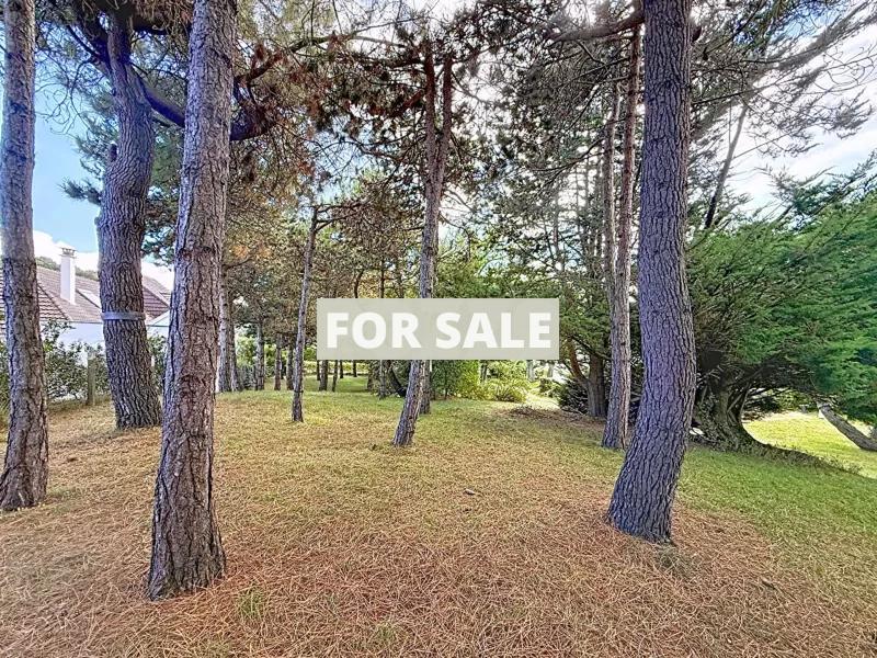 Detached House and Garden in Coastal Location