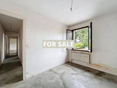 Two Houses to Renovate at Bargain Price