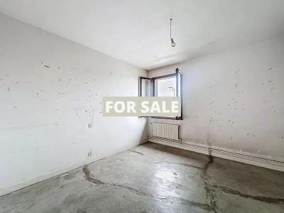 Two Houses to Renovate at Bargain Price