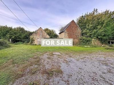 Traditional Detached House with Outbuildings