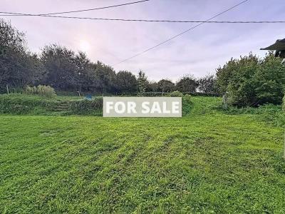 Traditional Detached House with Outbuildings
