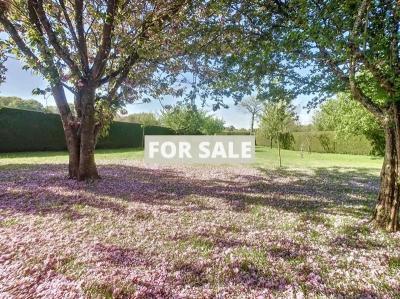 Property For Sale