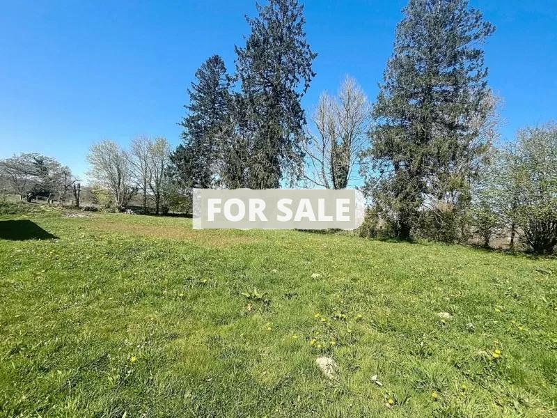Property For Sale