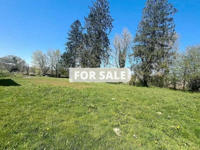 Property For Sale
