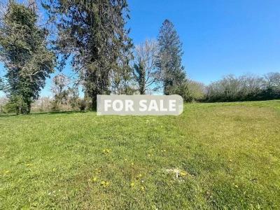 Property For Sale