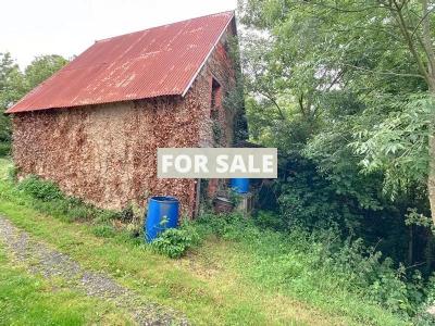 Detached Country House with Outbuilding