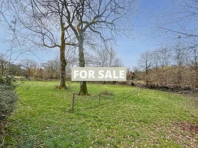 Detached House with Outbuilding and Land
