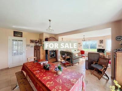 Property For Sale