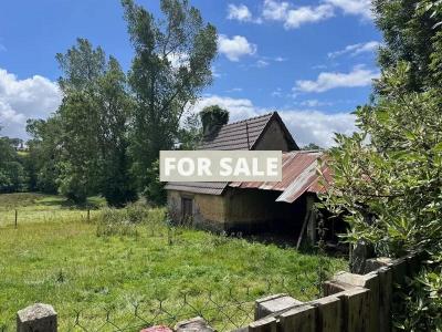 Detached Country House with Outbuilding