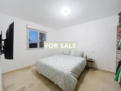 Contemporary Detached House