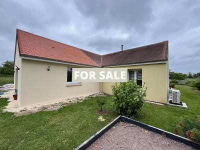 Detached House with Garden