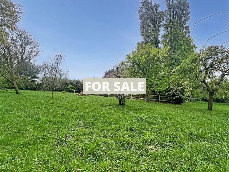Detached House with Garden by the Coast