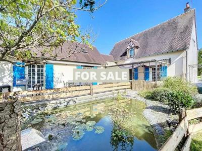 Property For Sale