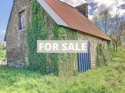 Barn to Renovate in the Countryside