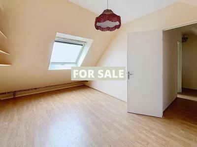 Detached House with Large Garden