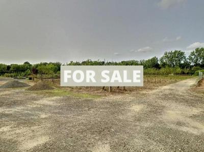 Set of Buildings in 4 Hectares of Land