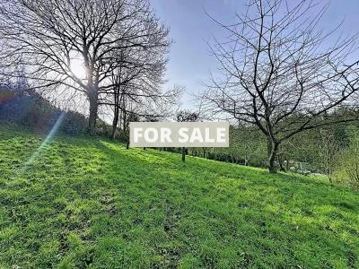 Detached Country House in Bucolic Rural Setting