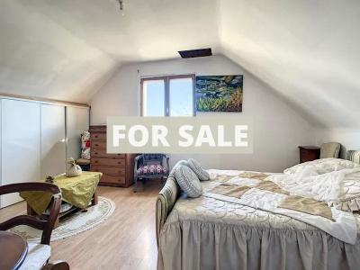 Detached House with Garden