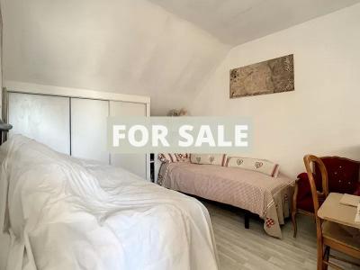 Detached House with Garden