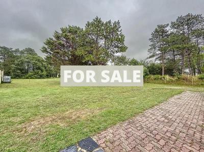 Detached Country House with Landscaped Gardens