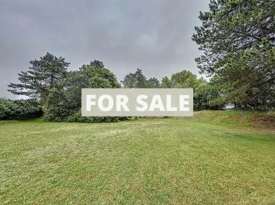 Detached Country House with Landscaped Gardens