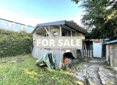 Town House with Neat Garden