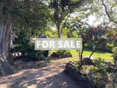Town House with Neat Garden