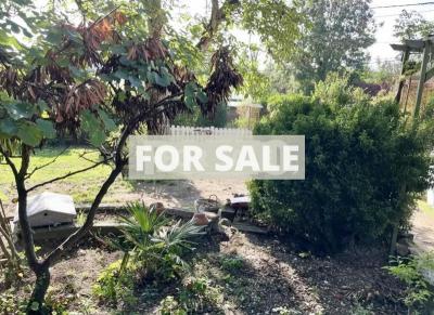 Town House with Neat Garden