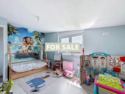 Contemporary Detached House with Swimming Pool