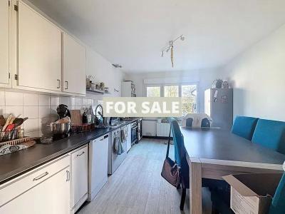 Detached Country House with Outbuildings