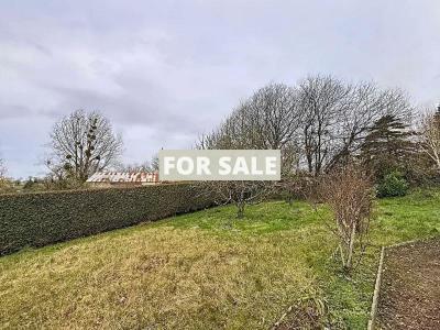 Single Storey Villa With Garden