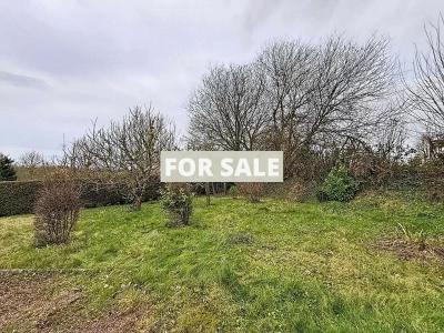 Single Storey Villa With Garden