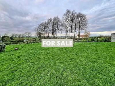 Detached Country House with Open Views