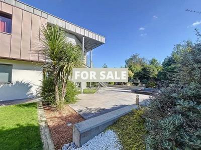 Contemporary Detached House