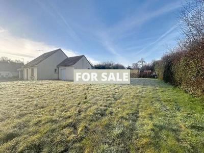 Contemporary Detached House with Garden