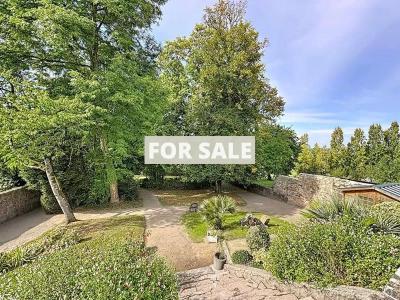 Beautiful House with Swimming Pool