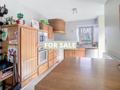 Detached Country House with Outbuilding