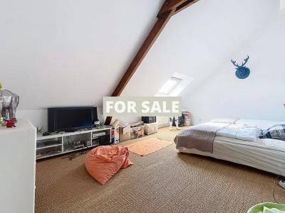 Detached House with Lovely Garden