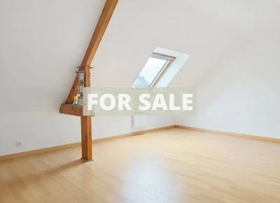 Modern Detached House with Garden