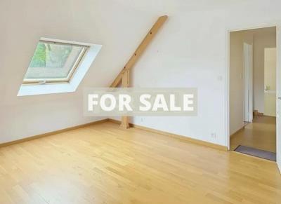 Modern Detached House with Garden