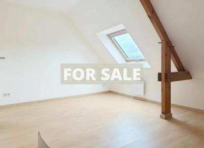 Modern Detached House with Garden