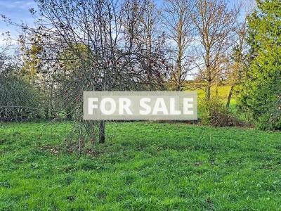 House to Renovate in Coastal Sector